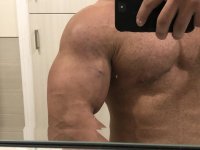 095007D8-B91F-44F7-88CC-12295F363BD9.jpeg 095007D8-B91F-44F7-88CC-12295F363BD9.jpeg